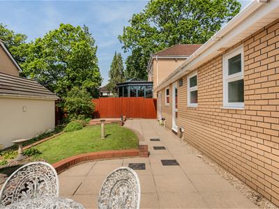 Picture 20